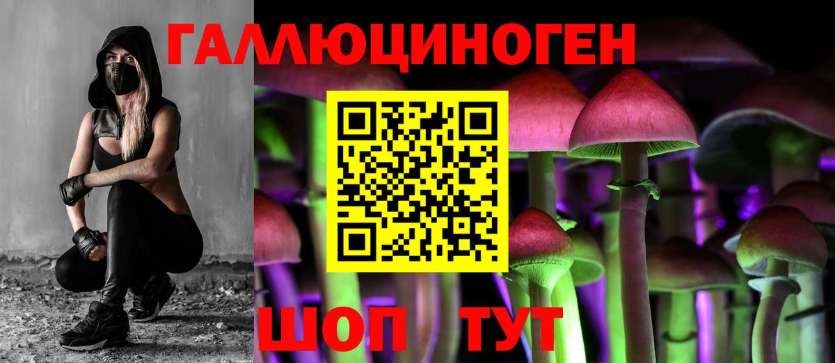 Галлюциногенные грибы прущие грибы  Вход с VPN  Заводоуковск 
